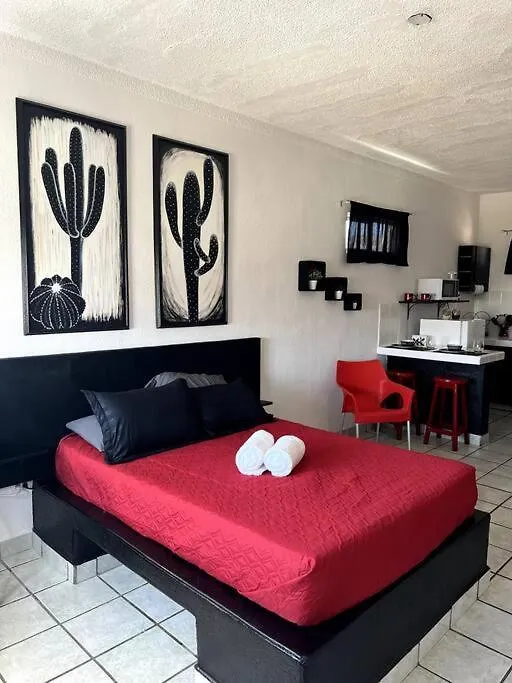 The Black & White Studio The Coziest Place In Cabo Cabo San Lucas