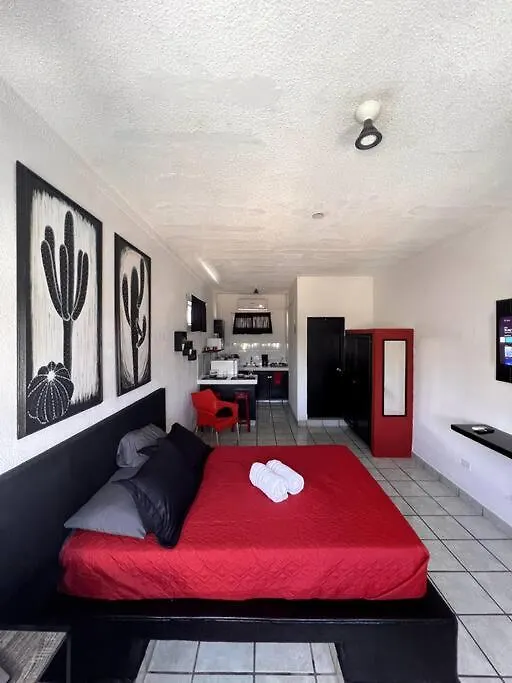 Apartment The Black & White Studio The Coziest Place In Cabo Cabo San Lucas